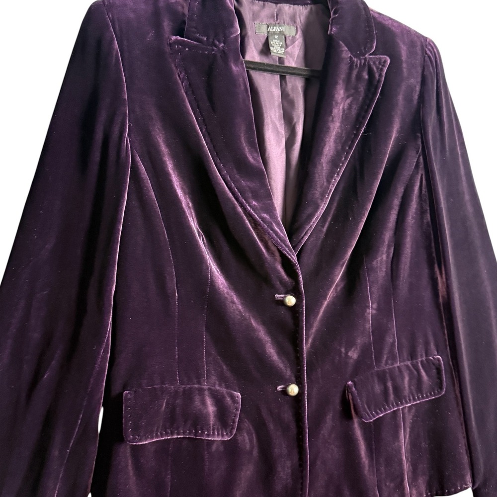 Y2K Silk Blend Velvet Blazer Plum Romantic Boho Luxury Goth Two Button Size 12 - Picture 6 of 8